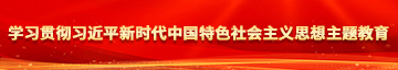 免费操女人的屄的网站大全学习贯彻习近平新时代中国特色社会主义思想主题教育